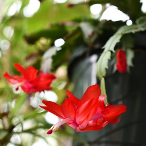 0707sm.JPG
