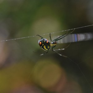 5448sm.jpg