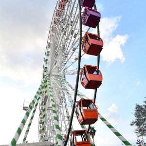 SS5_1022sm.JPG