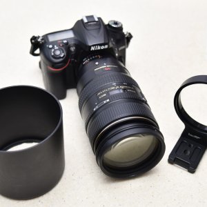 SS5_1053crsm.JPG