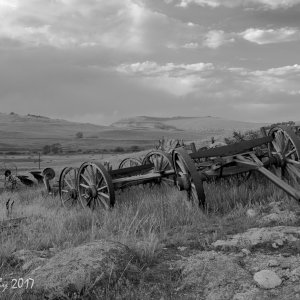 Wagon_BW.jpg