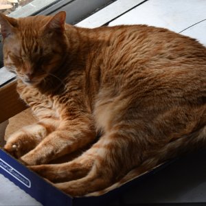 SS5_1092sm.JPG