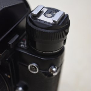 SS2_5694sc.JPG