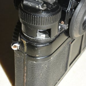 SS2_5698sc.JPG