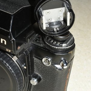 SS2_5697sc.JPG