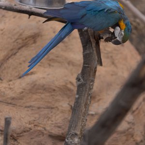 Abq_Zoo_Feb2023-1069.jpg