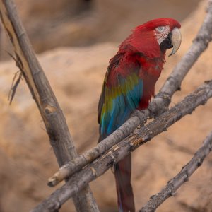 Abq_Zoo_Feb2023-1072.jpg