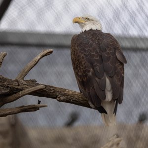 Abq_Zoo_Feb2023-1090.jpg