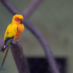 Abq_Zoo_Feb2023-1094.jpg