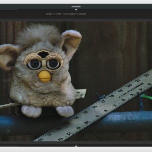 furby-02.jpg
