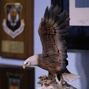 RF70_200-1435-2.jpg