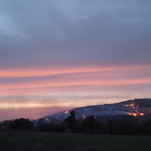 20230405_202150.jpg