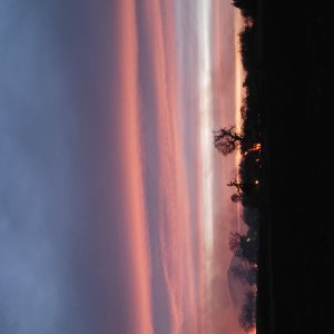 20230405_202507.jpg