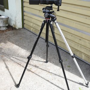 SS2_5918sc.JPG