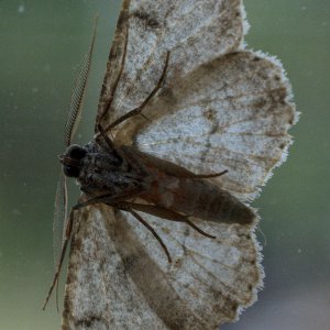 SS2_5956DT_01.jpg
