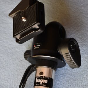 Bogen3016.jpg
