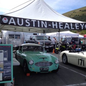 Sonoma Healey Pits II.jpg