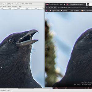Media 'difference.png' in category 'Photography'