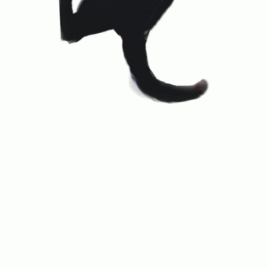 Kitty1.gif