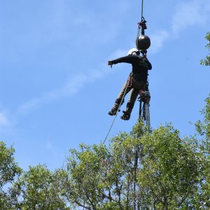 SS2_6038sc.JPG
