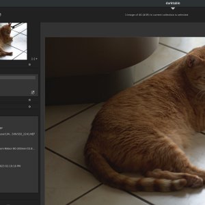 2241EXIF.jpg
