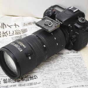 SS2_6123cr.JPG