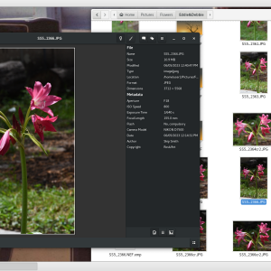 Screenshot from 2023-06-06 04-10-37.png