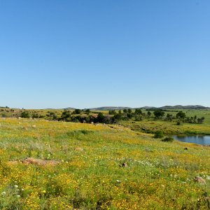 _DSC4731.jpg
