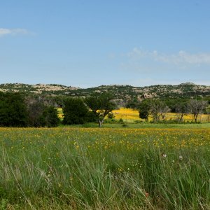 _DSC4851 (2).JPG
