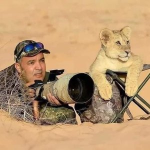 PhotoAssistant.jpg