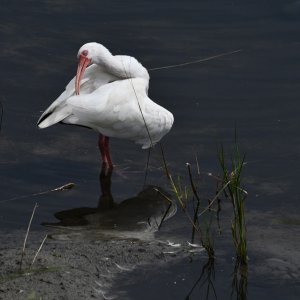 MitsyPhoto.jpg