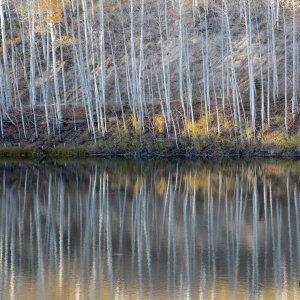 Contest-4-Aspen Reflections.jpg
