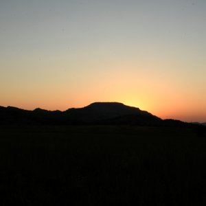 _WWK5654.jpg