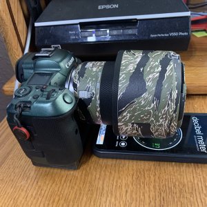 IMG_3321.jpeg