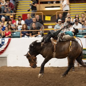 Rodeo-September 20, 2023-1.jpg