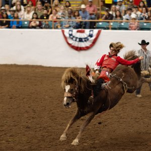 Rodeo-September 20, 2023-2.jpg