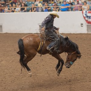 Rodeo-September 20, 2023-7.jpg