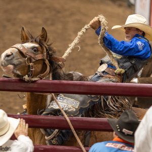 Rodeo-September 20, 2023-18.jpg