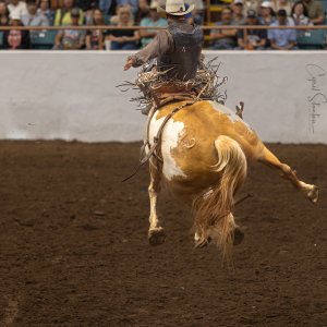 Rodeo-September 20, 2023-20.jpg