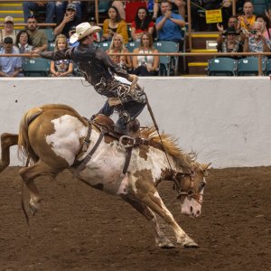 Rodeo-September 20, 2023-21.jpg
