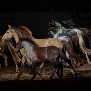 Rodeo-September 20, 2023-31.jpg