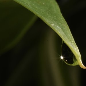 IMG_3393.jpeg