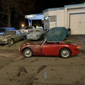 Bugeye barnfind .jpeg