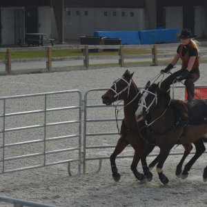 SS2_7159sc.JPG