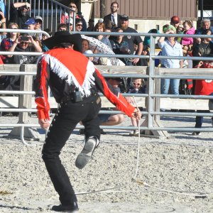 SS2_7374cr.JPG