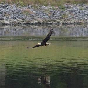 SS2_7644Dsc.jpg