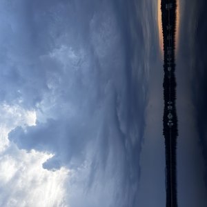 IMG_4691.jpeg