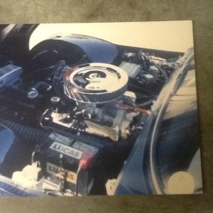 IMG_1411.jpeg