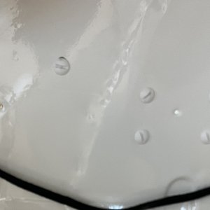 IMG_3206.jpeg
