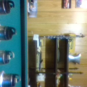 IMG_20240812_130736.jpg